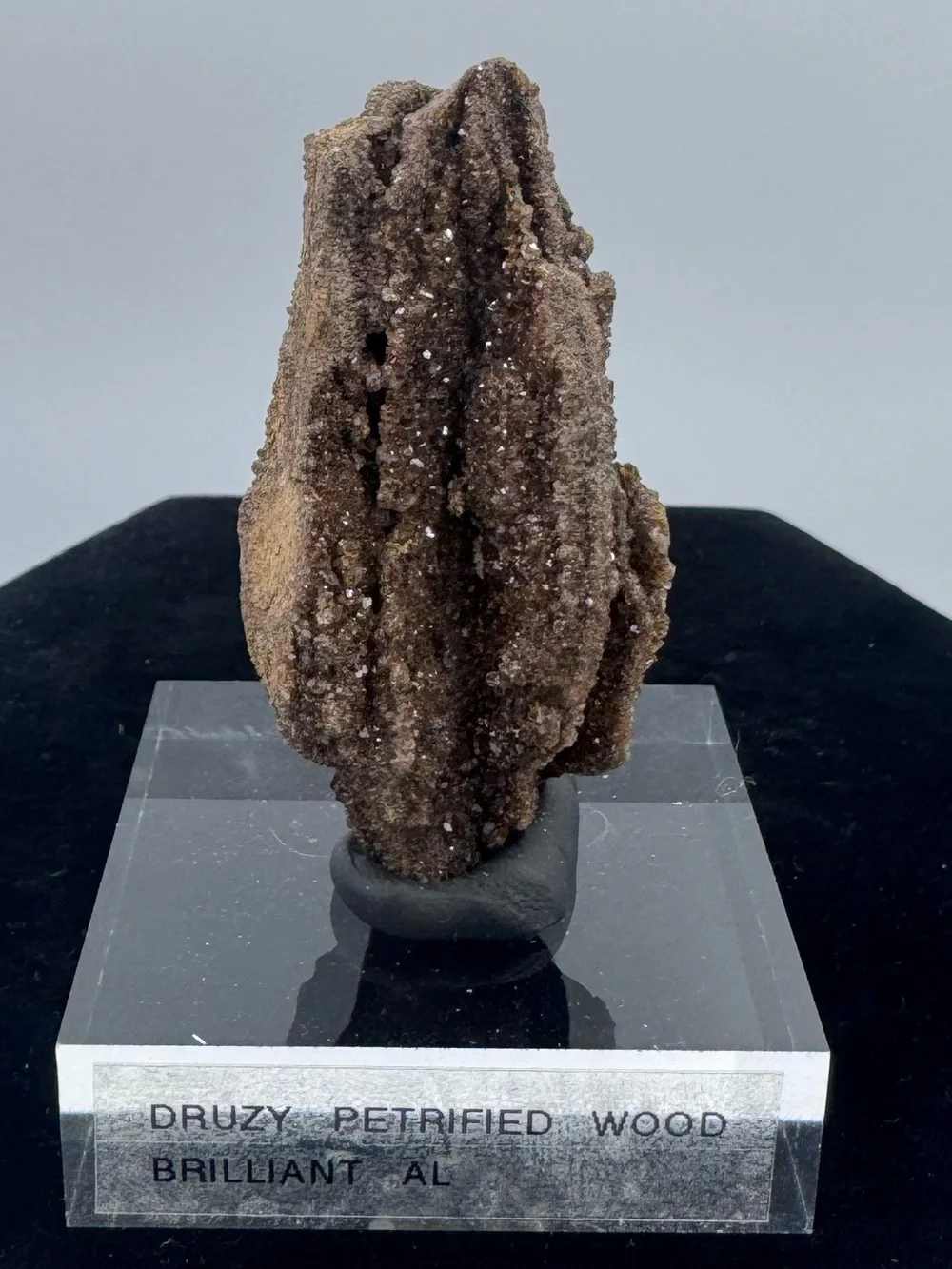 Druzy Petrified Wood Display Piece - Brilliant Alabama